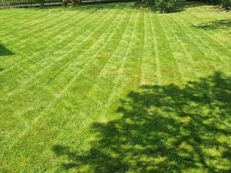 Gartenarbeit 2